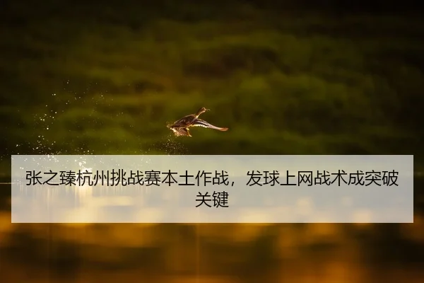 张之臻杭州挑战赛本土作战，发球上网战术成突破关键
