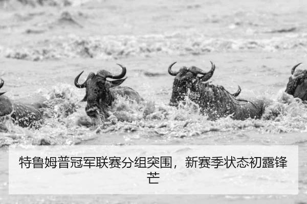 te-lu-mu-pu-guan-jun-lian-sai-fen-zu-tu-wei-xin-sai-ji-zhuang-tai-chu-lu-feng-mang-3-525.jpg